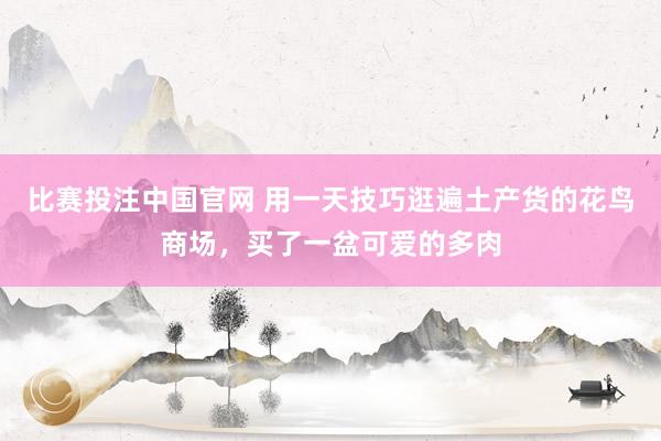 比赛投注中国官网 用一天技巧逛遍土产货的花鸟商场，买了一盆可爱的多肉