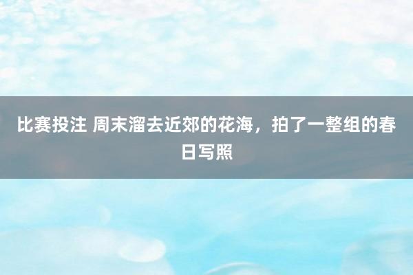比赛投注 周末溜去近郊的花海，拍了一整组的春日写照