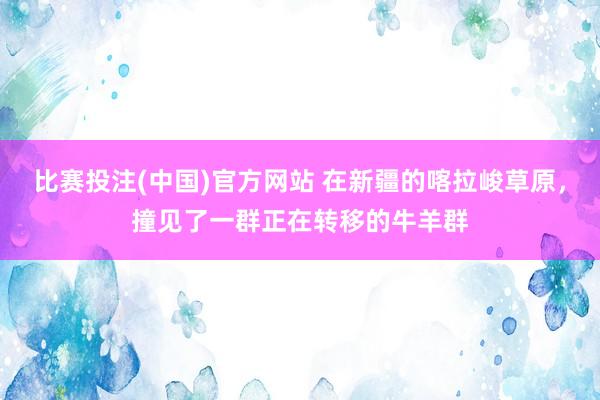 比赛投注(中国)官方网站 在新疆的喀拉峻草原，撞见了一群正在转移的牛羊群