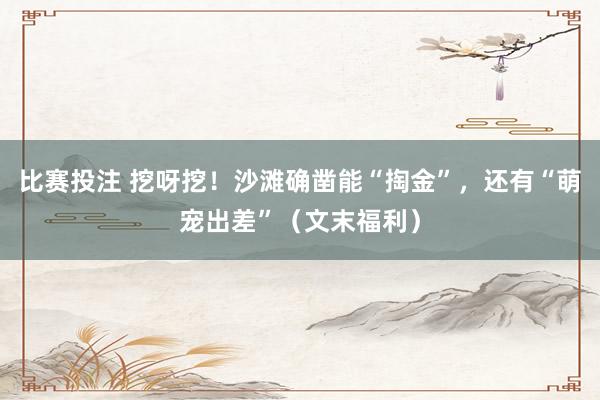 比赛投注 挖呀挖！沙滩确凿能“掏金”，还有“萌宠出差”（文末福利）