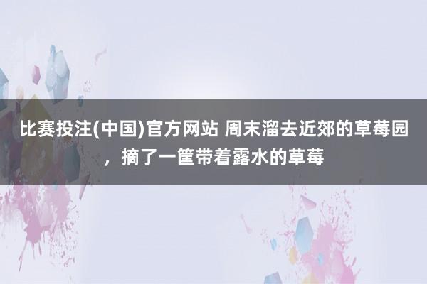 比赛投注(中国)官方网站 周末溜去近郊的草莓园，摘了一筐带着露水的草莓